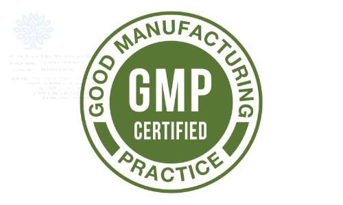 Mitothrive GMP Certified